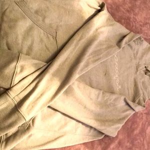 Champion gray hoodie